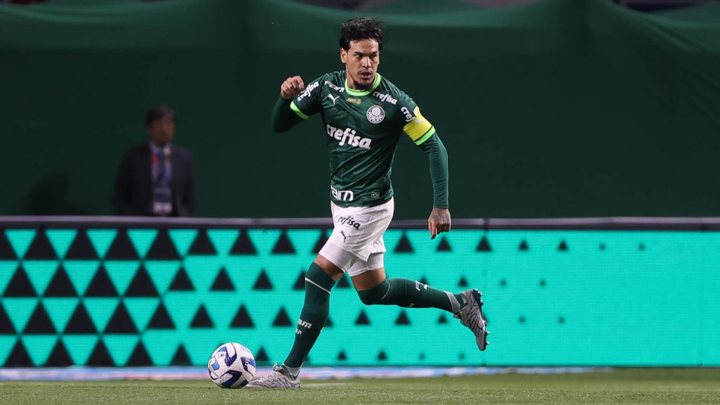 palmeiras