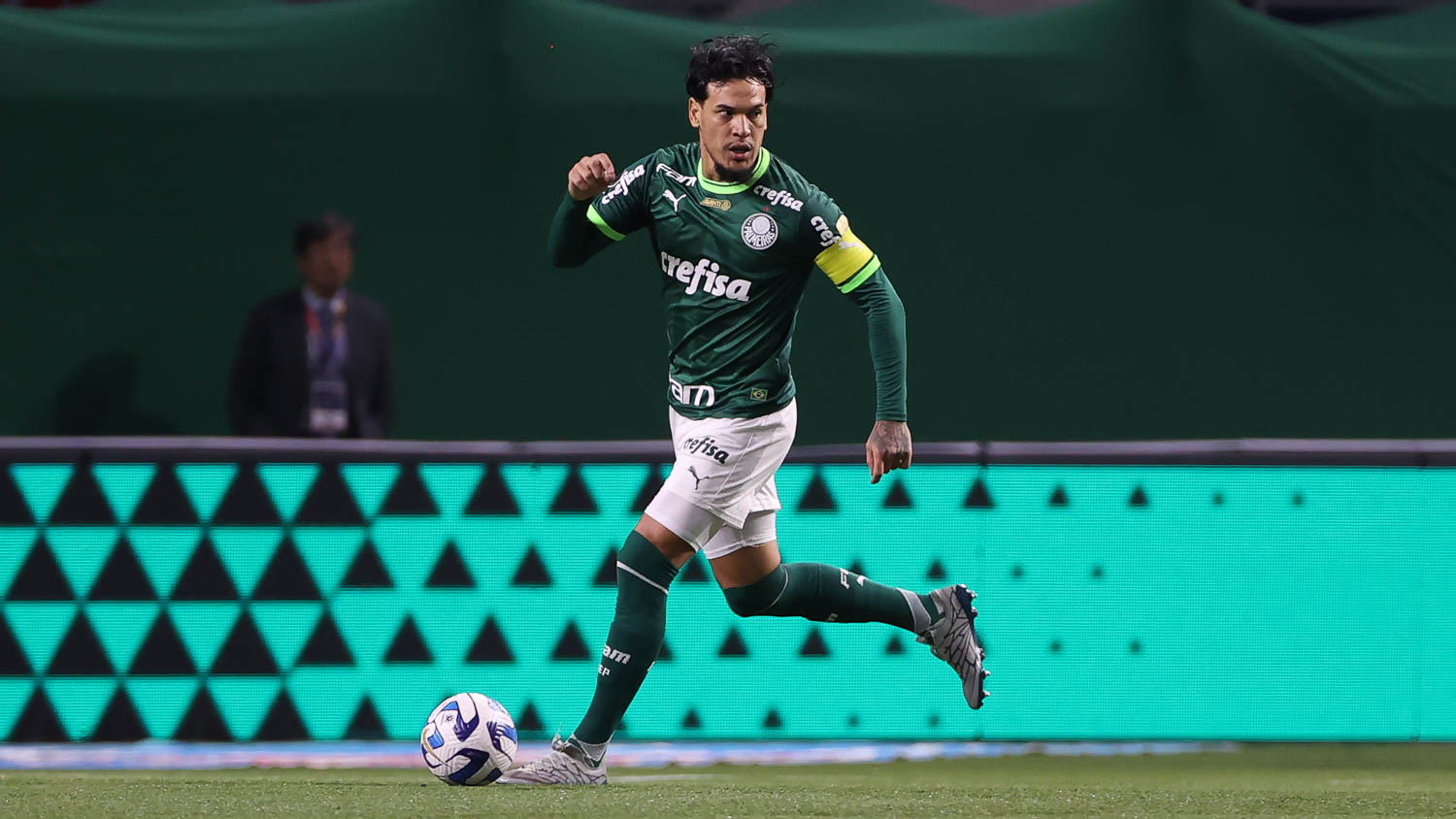 palmeiras