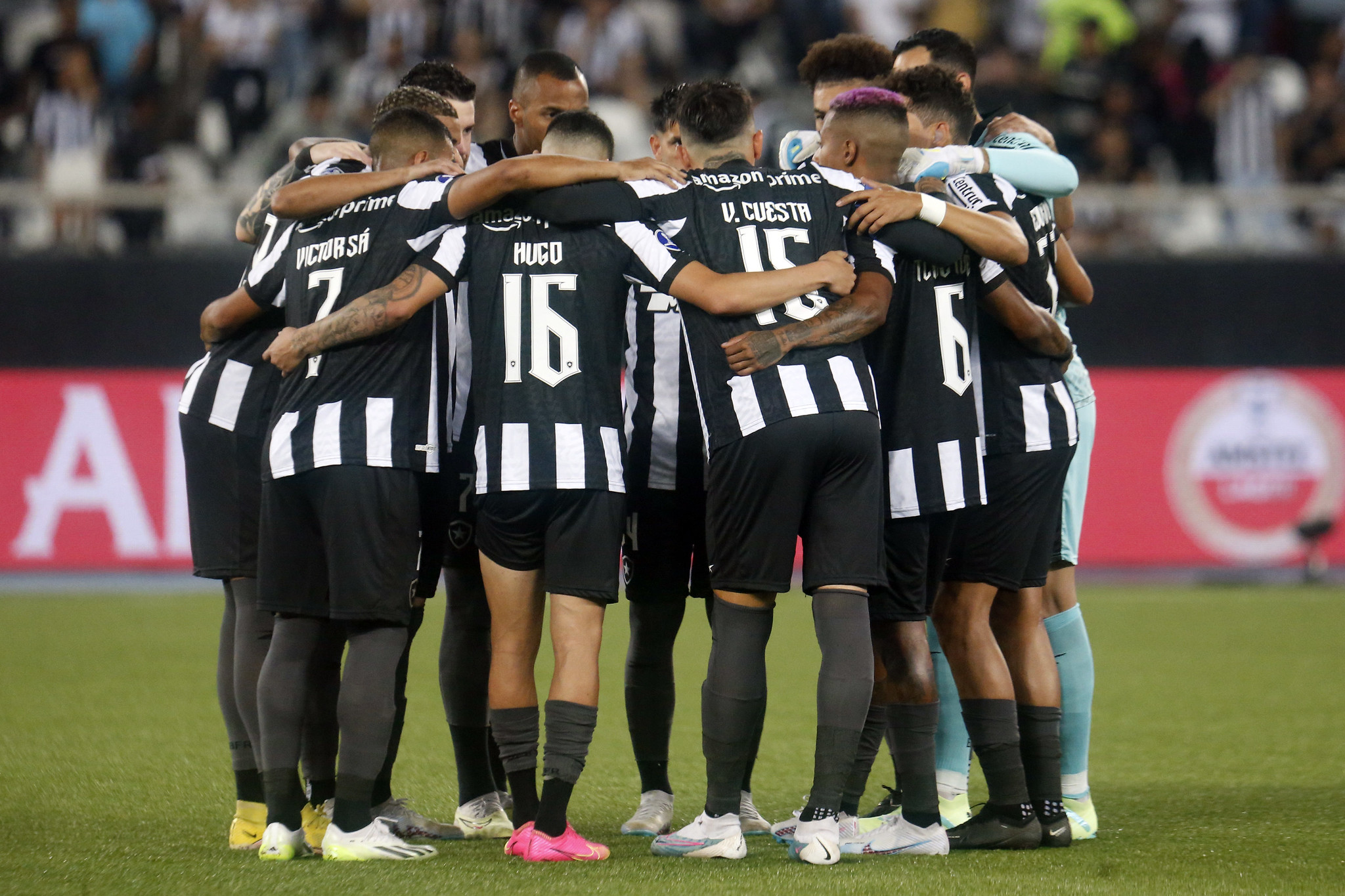 botafogo nilton santos