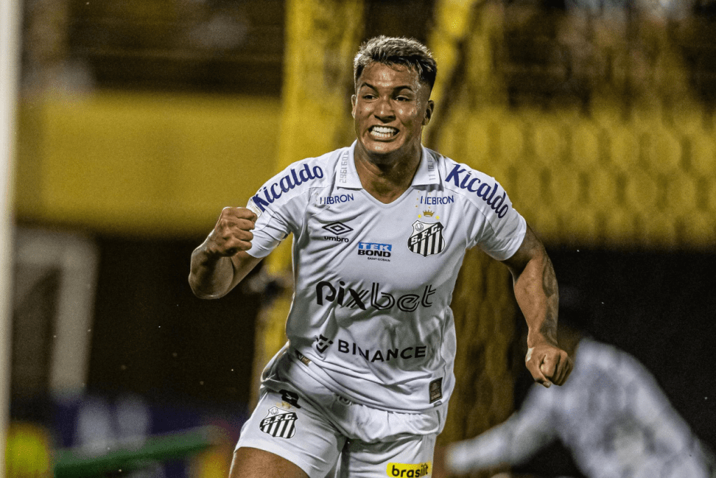 Marcos Leonardo quer seguir para o futebol europeu (Foto: Santos FC/Divulgação)