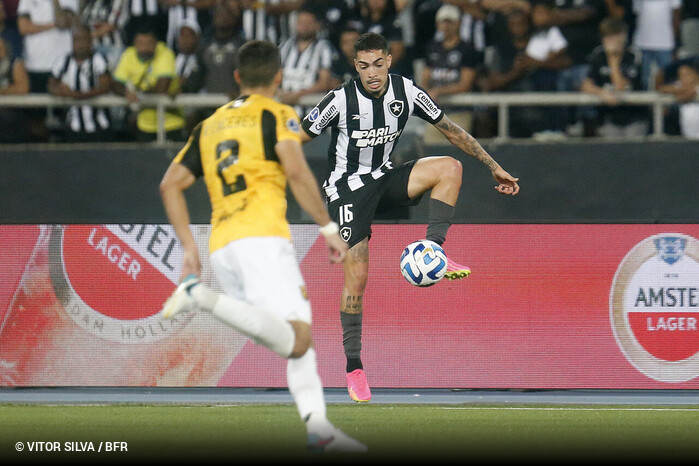 Guarani X Botafogo: Onde Assistir Ao Vivo, Horário, Escalações E ...