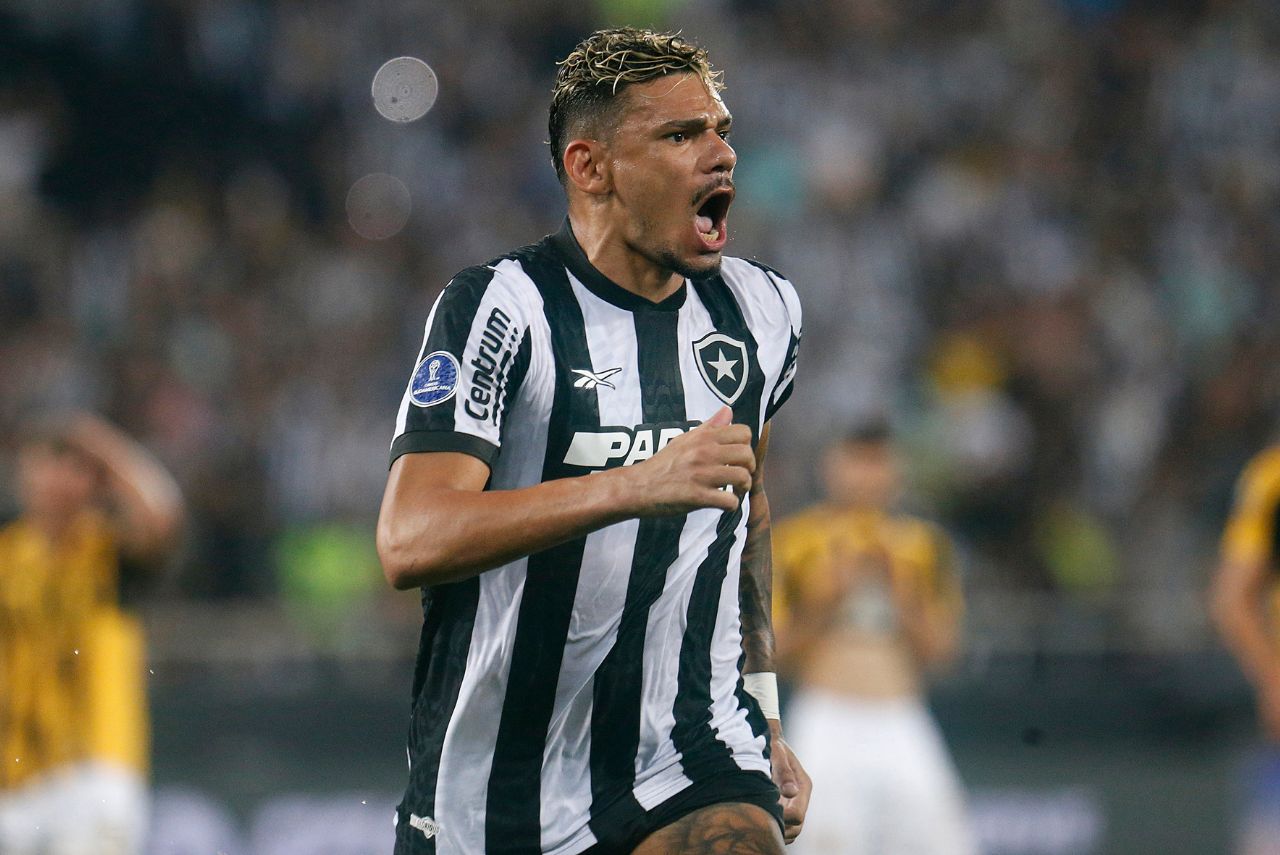 Tiquinho Soares comemorando gol pelo Botafogo