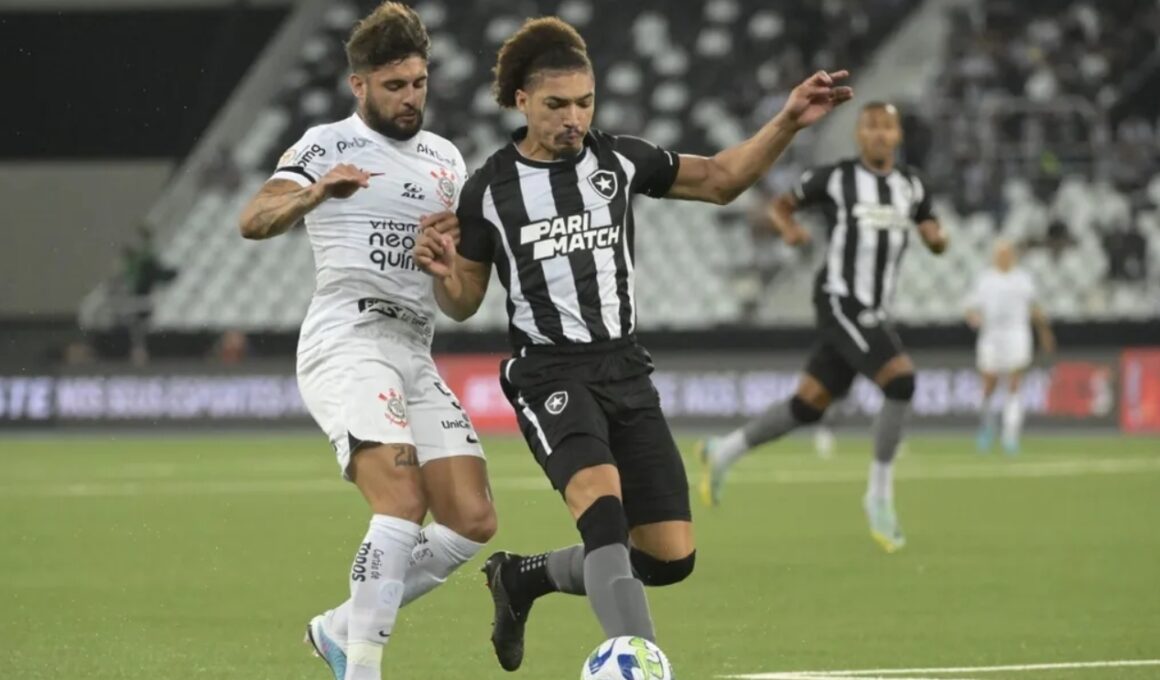 onde assistir ao vivo corinthians x botafogo