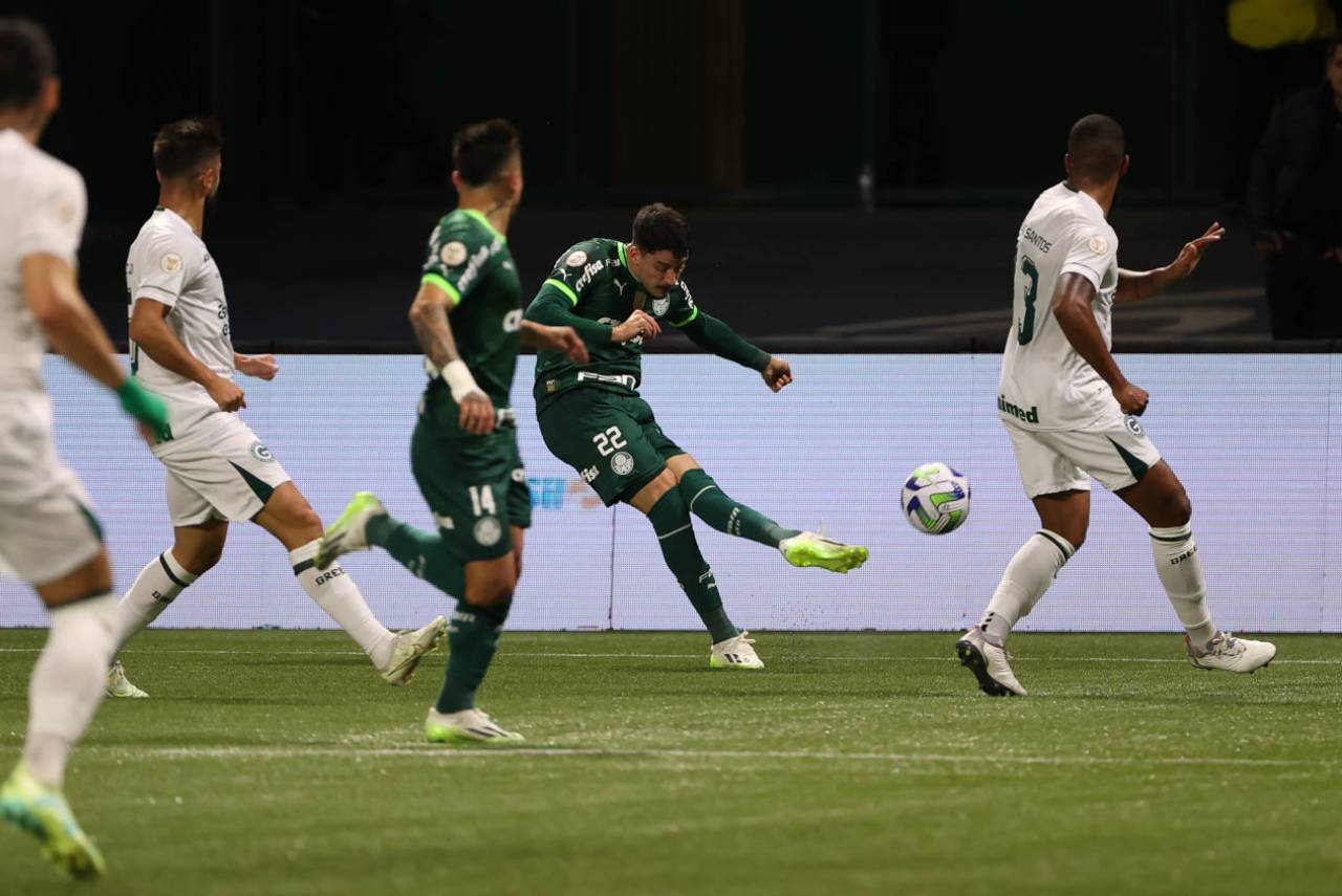 palmeiras-goiás