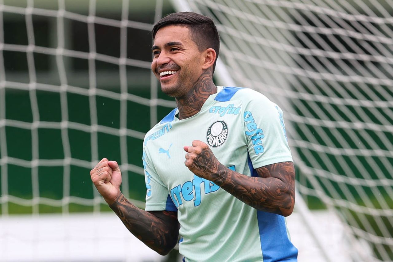 Dudu, Palmeiras