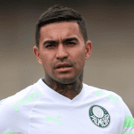 Recuperação de Dudu deve durar entre 9 e 12 meses (Foto: Cesar Greco/Palmeiras)