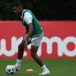 Luis Guilherme, Palmeiras