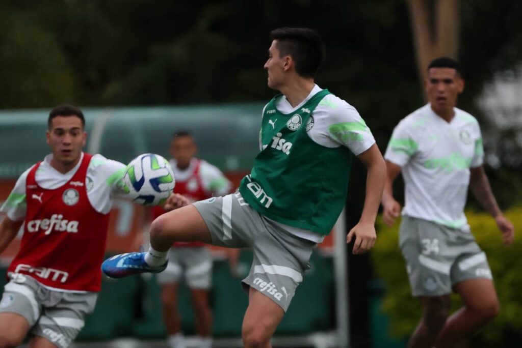atuesta - palmeiras