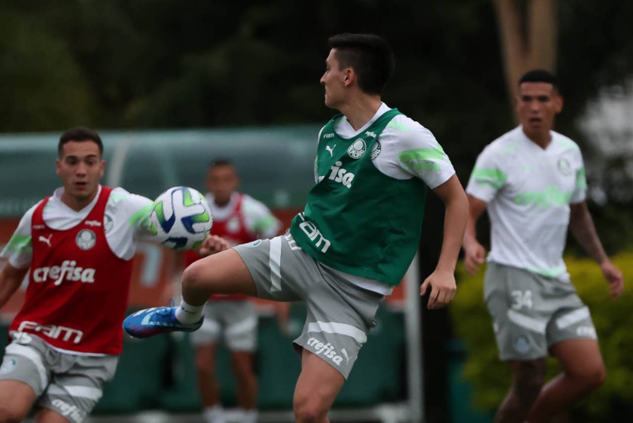 atuesta - palmeiras