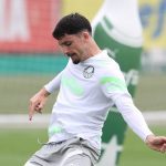 Piquerez - palmeiras