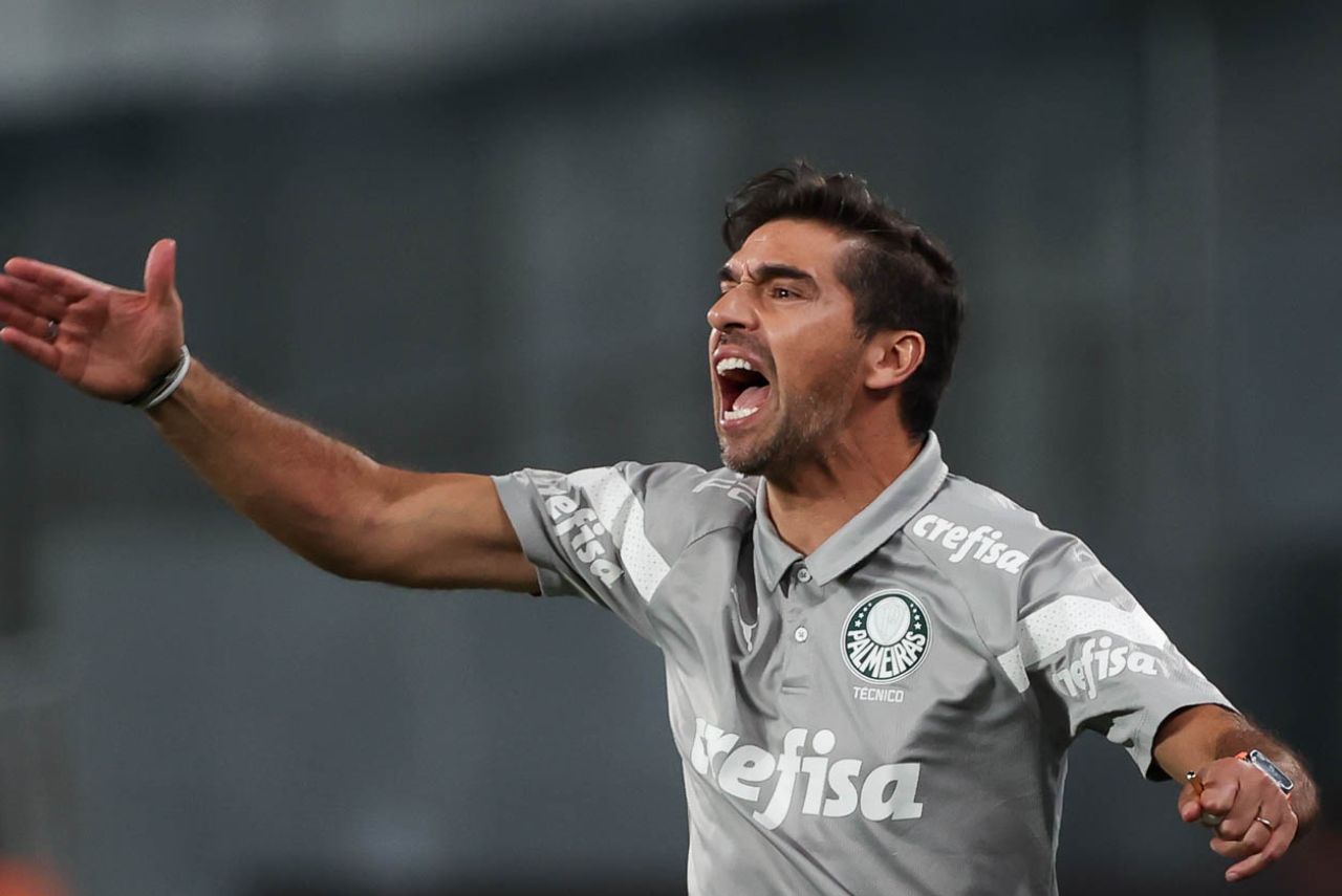 Treinador do Palmeiras no Engenhão