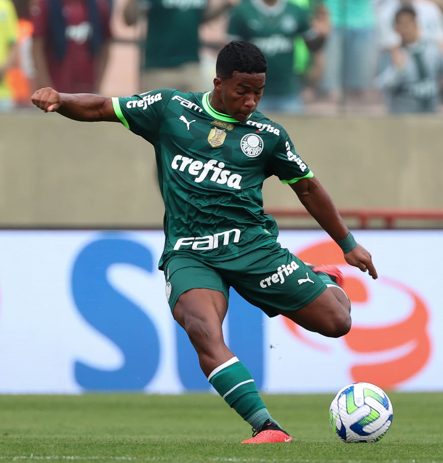 Endrick, Palmeiras