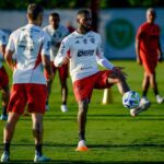Gerson, Flamengo