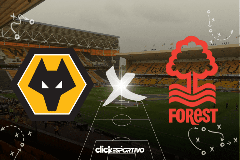 <p>Wolves x Forest</p>
