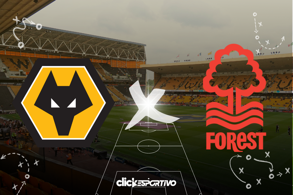 Wolves x Forest