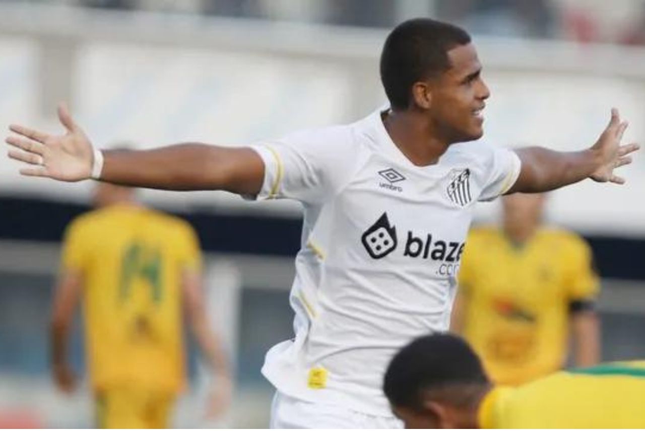 Goleada do Santos garantiu classificação e liderança do grupo (Foto: Pedro Azevedo/Santos)