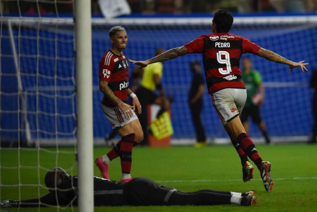 Pedro comemora gol do Flamengo