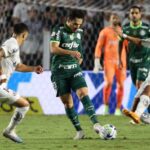 onde assistir ao vivo Palmeiras x Santos