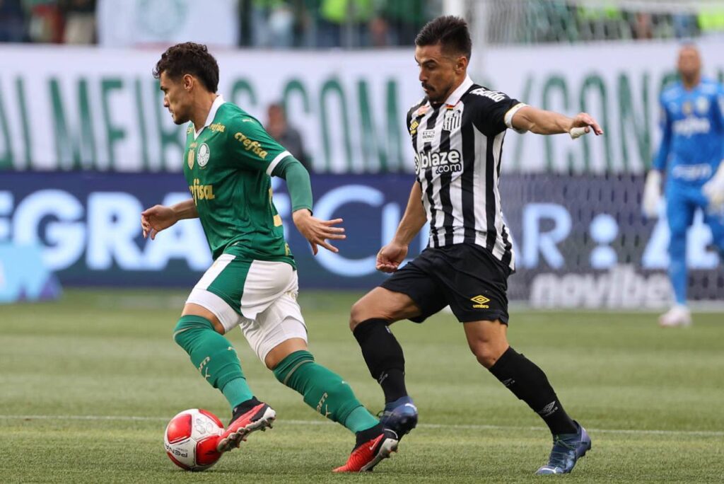 O Palmeiras aquele que pode ser o único clássico do Santos na temporada. Foto: Cesar Greco/Palmeiras