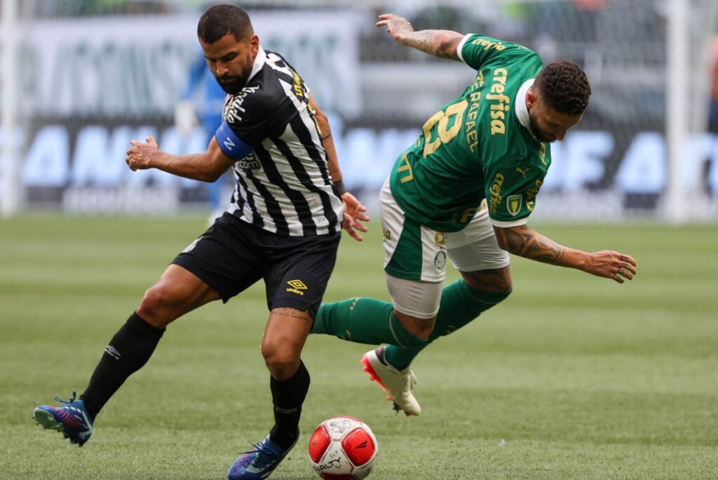 Gramado foi palco do clássico entre Palmeiras e Santos