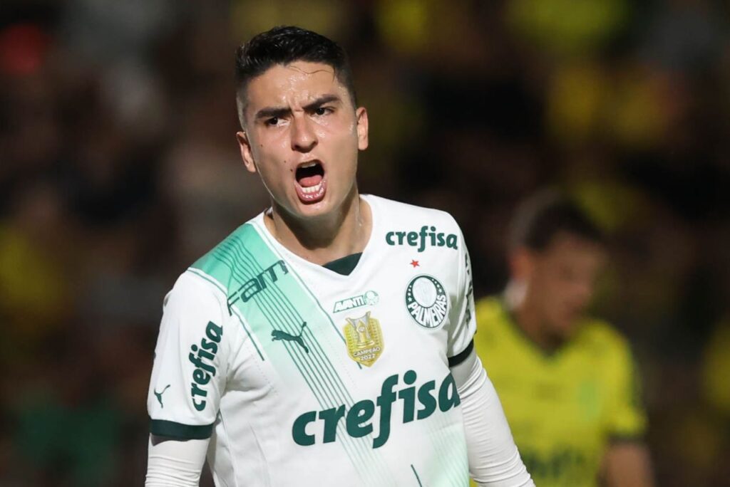 Atuesta, Palmeiras