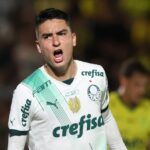 Atuesta, Palmeiras