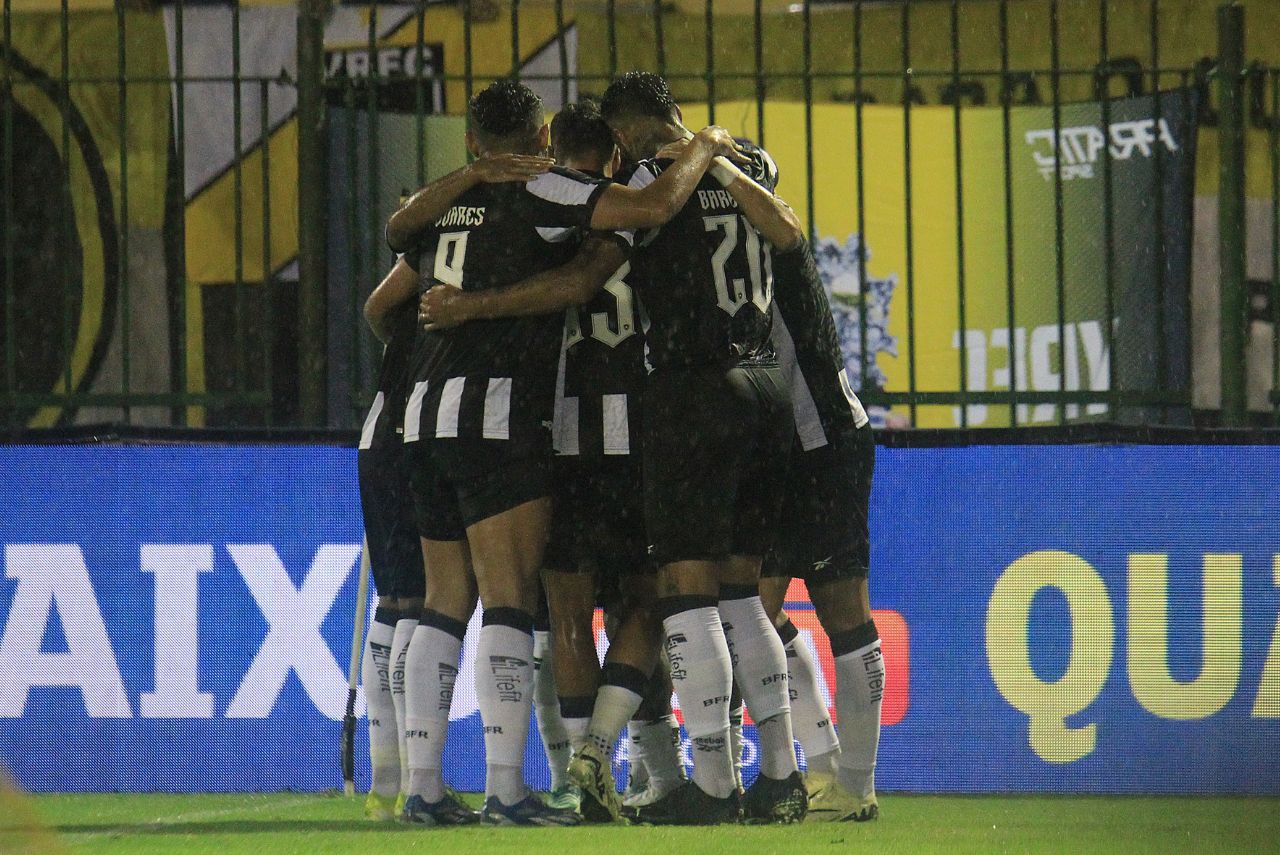 Jogadores do Botafogo comemoram