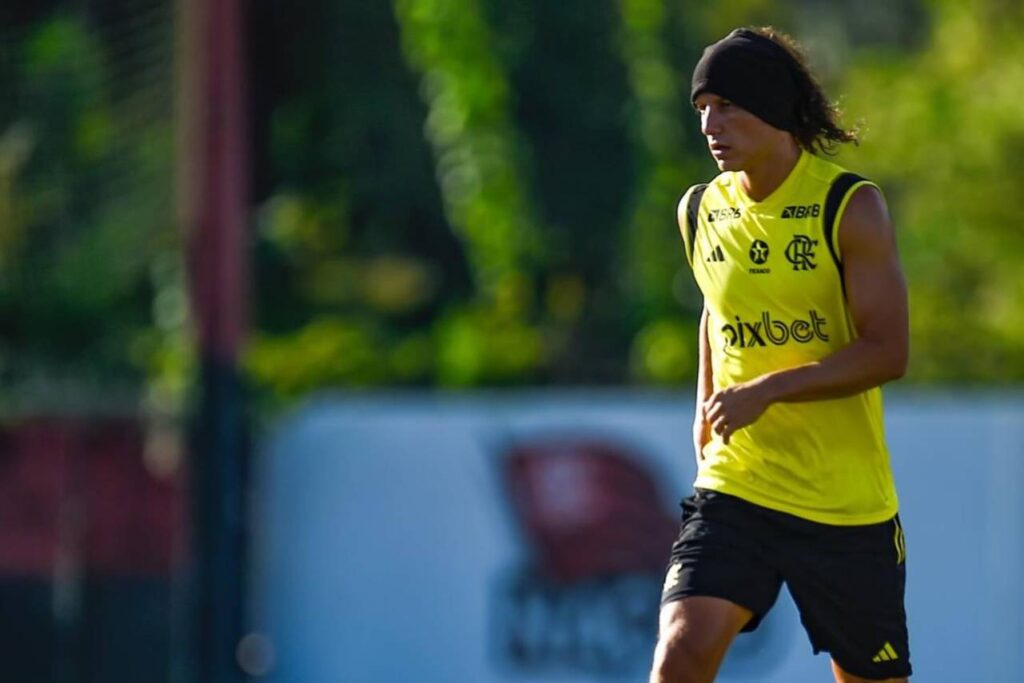 David Luiz foi dispensado pelo departamento de futebol do Flamengo. Foto: Reprodução/Facebook
