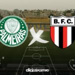 Palmeiras x Botafogo-SP