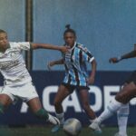 Palmeiras venceu o Grêmio pelo Brasileirão Feminino (Foto: Reprodução)