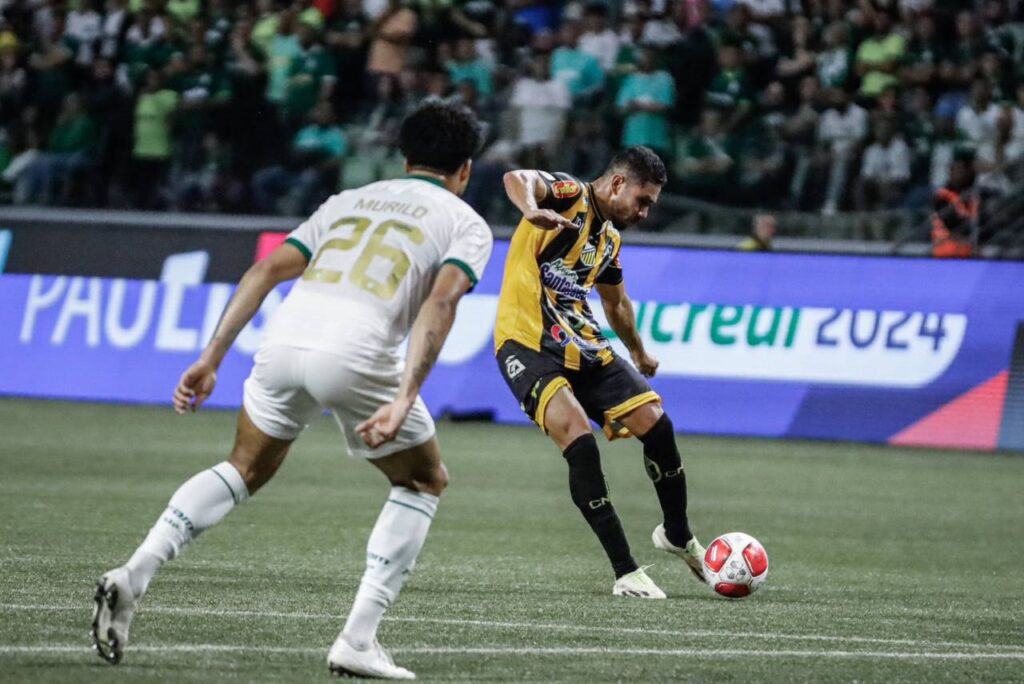 O Palmeiras vai jogar sua 5ª final de Paulistão consecutiva. Foto: Gustavo Ribeiro Novorizontino