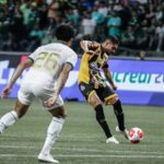 O Palmeiras vai jogar sua 5ª final de Paulistão consecutiva. Foto: Gustavo Ribeiro Novorizontino
