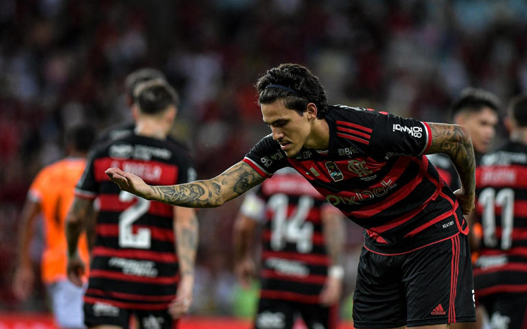 onde assistir ao vivo flamengo