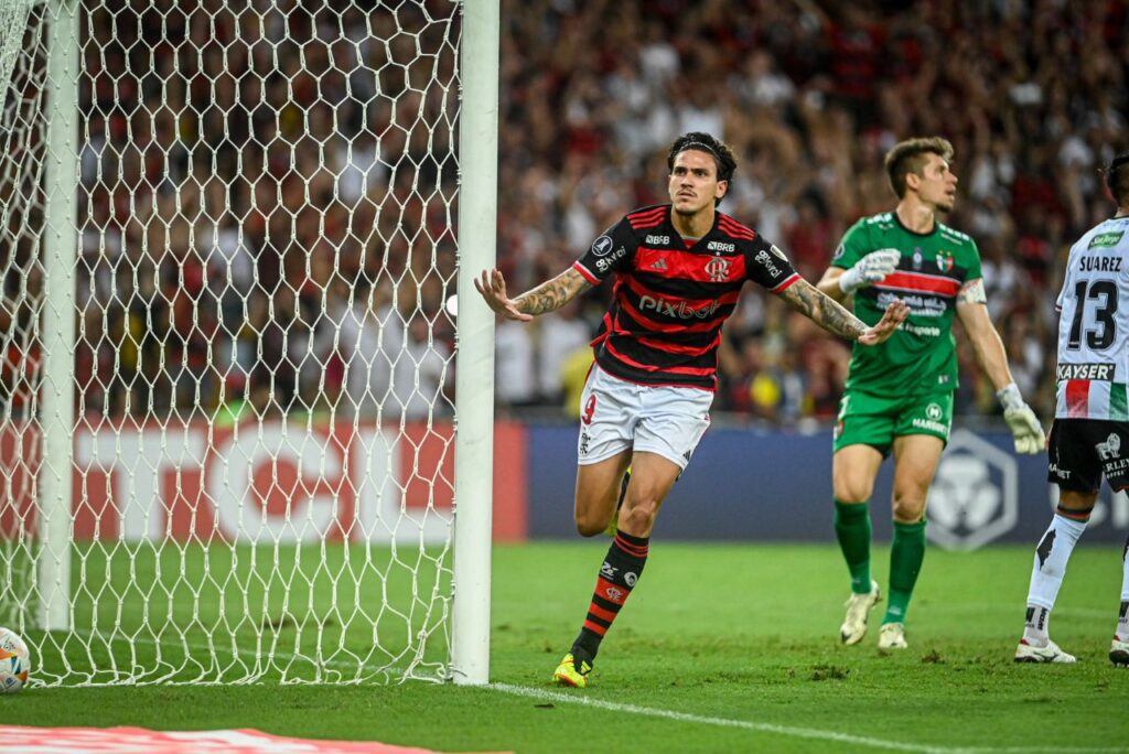 Pedro - Flamengo