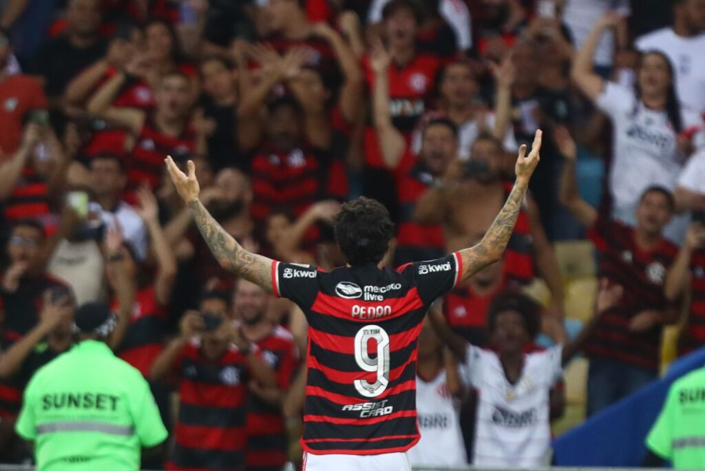 Pedro comemora mais um gol pelo Flamengo