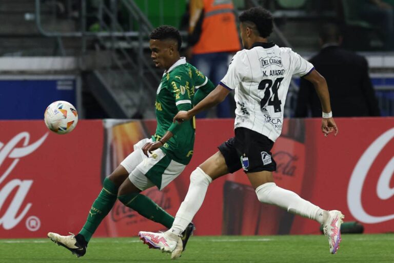 <p>Estevão marcou o primeiro gol pelo profissional do Palmeiras. Foto: Cesar Greco/Palmeiras</p>
