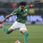 onde assistir ao vivo Palmeiras x Vitória