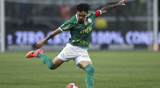 onde assistir ao vivo Palmeiras x Vitória