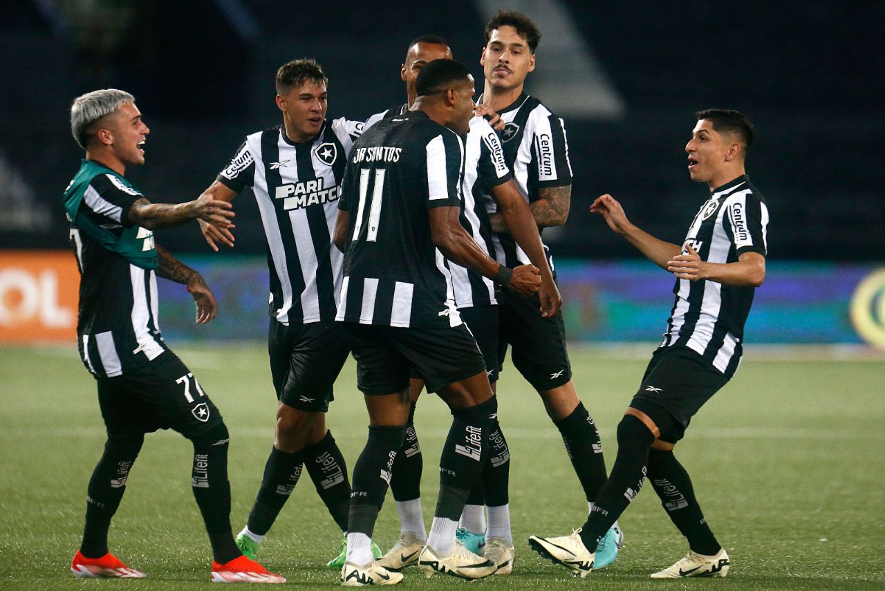 Jogadores comemoram gol de Júnior Santos pelo Botafogo no Braisleirão 2024 contra o Juventude
