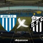 Avaí x Santos - Campeonato Brasileiro Série B 2024