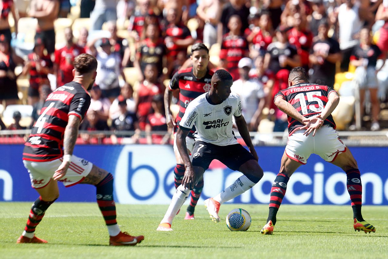 Botafogo venceu o Flamengo pelo Brasileirão (Foto: Vitor Silva/BFR)