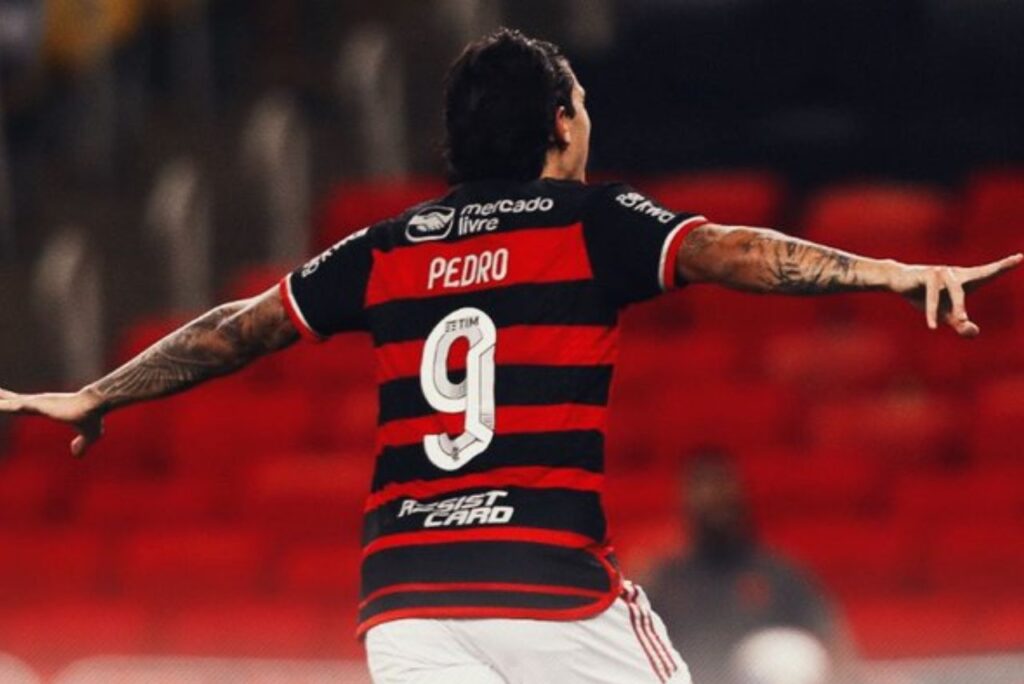 Pedro comemora gol do Flamengo
