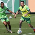 Aníbal iniciou o processo de transição após um trauma no olho. Foto: César Greco/Palmeiras