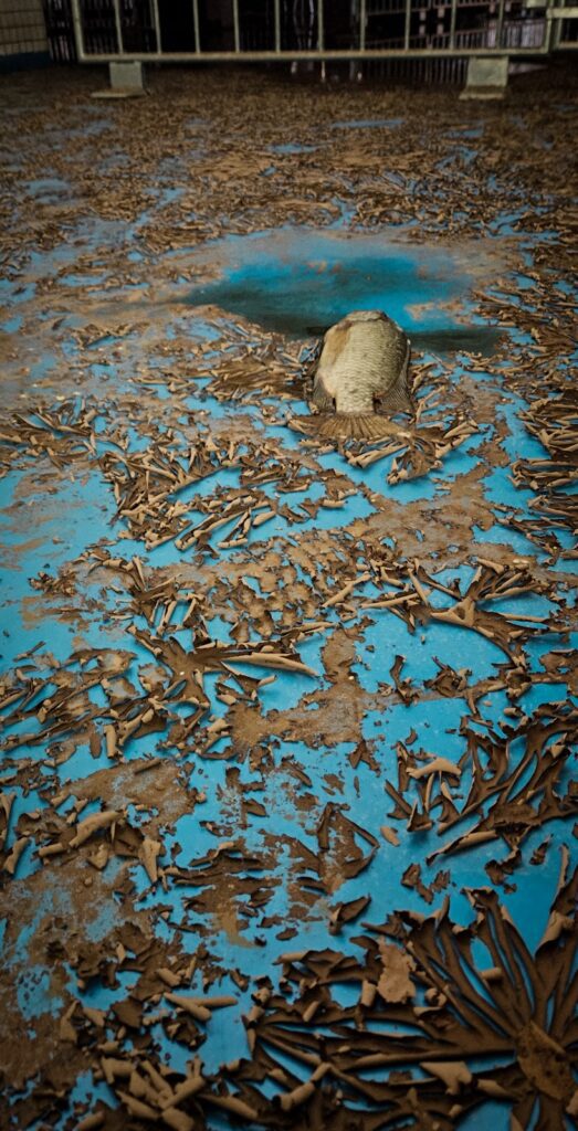 Peixe na Arena do Grêmio