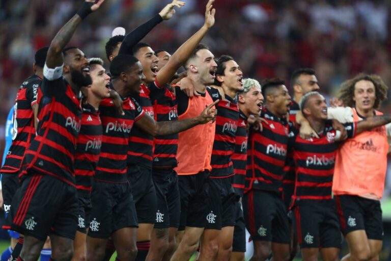 <p>O Flamengo está na liderança do Campeonato Brasileiro. Foto: Gilvan de Souza / CRF</p>
