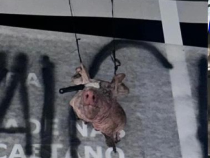 Imagem ultrarrealista de torcedores do Corinthians exibindo uma cabeça de porco e uma faixa provocativa em frente à Neo Química Arena em uma noite chuvosa.